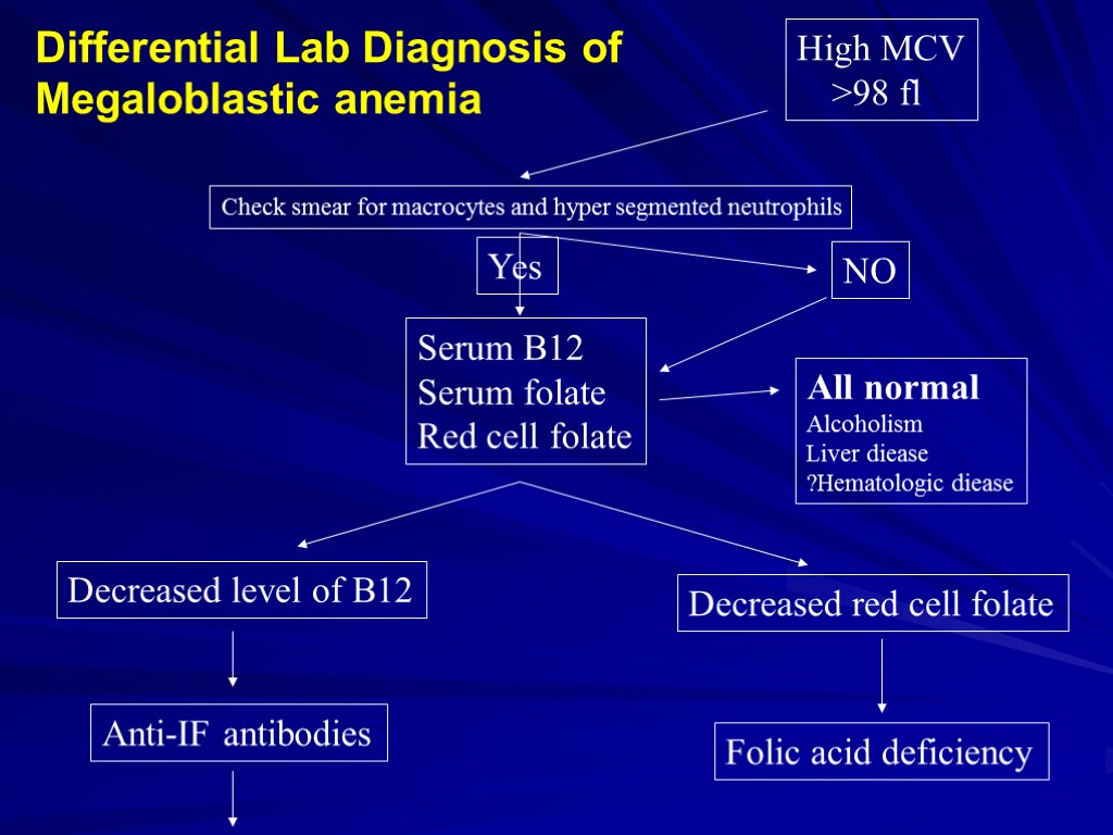 High MCV >98 fl Check smear for macrocytes and hyper segmented neutrophils Serum B12